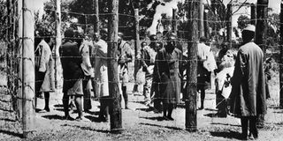 Soldiers guard Mau Mau fighters