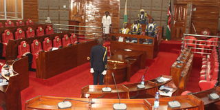 Meru County Assembly 