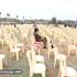 Empty chairs Madaraka Day celebrations Uhuru Gardens Ruto