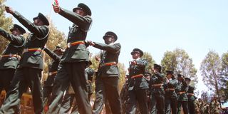 Nyeri police parade