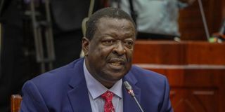 Musalia Mudavadi