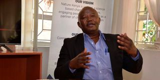 Dr paul matiku, climate change, climate talks, cop27, kenya's climate crisis