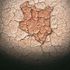 drought, famine, startvation, floods, climate change, kenya's climate crisis, cop27