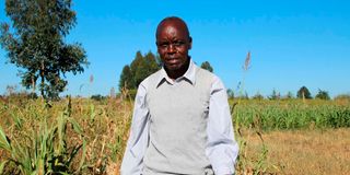 climate change, climate crisis, drought, cop27