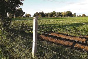 Fenced land