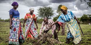 Members of Sagalato and Songa Mbele put mulch together on their farm.