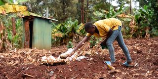 knh, baby travis, travis maina, fork jembe, judy muthoni