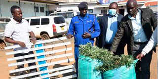 Security officers display confiscated bhang