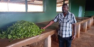 Tea collection centre