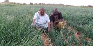 Mohamed Adan (left), an onion grower on his farm in Mandera on August 23 with a friend. 