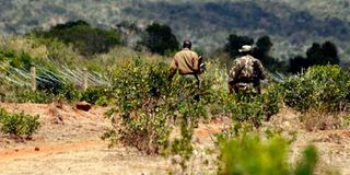 Laikipia Nature Conservancy