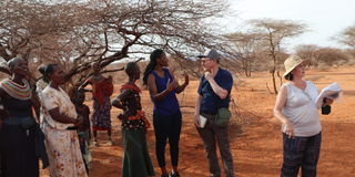 Marsabit resins gums