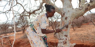 Marsabit woman