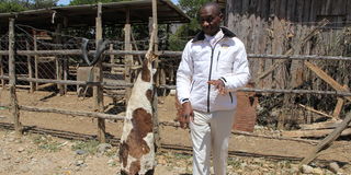 Lolldaiga Conservancy