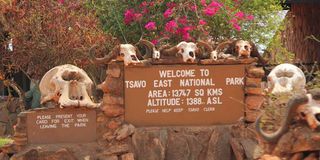 Tsavo East National Park