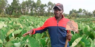 Ramadhan Mutenya at his Arrow roots farm