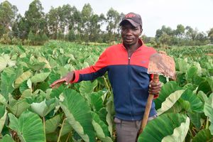 Ramadhan Mutenya at his Arrow roots farm