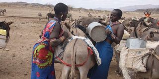 Kajiado drought 