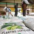 Workers offload fertiliser from a truck to a godown at the National Cereals and Produce Board, Eldoret depot