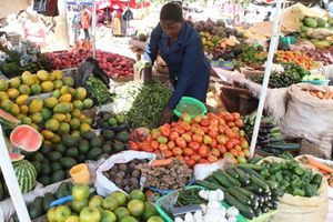 A trader sorts tomatoes at her stand at Chaka market in Nyeri County.