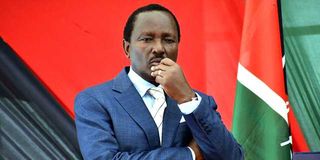 Wiper leader Kalonzo Musyoka