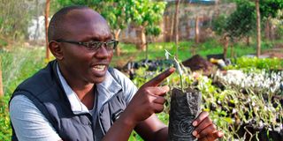 Dennis Nguma with a passion fruit seedling at his farm in Mavindini, Makueni County. 