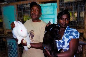 David Kinyanjui Muhia with his wife, Rose Kinyanjui, hold rabbits that they keep in their Daroclael Rabbit Farm
