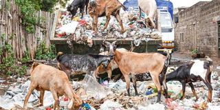 A heap of garbage piled along the streets of Elburgon Town in Nakuru County on January 4, 2023.