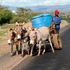 Machakos Water