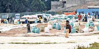 Farmers dry their maize near Kipchoge Keino Stadium in Eldoret town, Uasin Gishu County