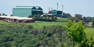 Kiptagich Tea Estate and the factory,