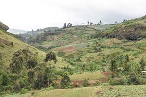 A view of Chebui cave (right), in Mount Elgon, Bungoma County