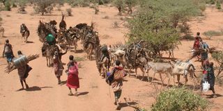Samburu banditry