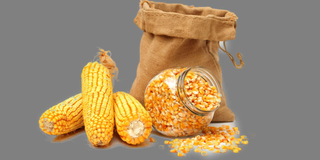 Yellow maize 