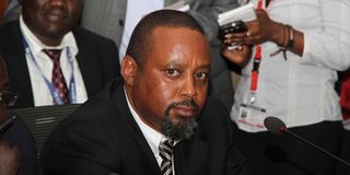 Mukuria Ngamau Director of Quorandum Ltd youth fund court 