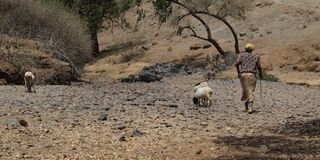 Laikipia drought