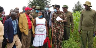 Ogiek community in Mau Forest