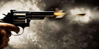 Gun