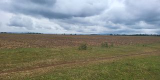 egerton university land