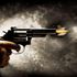Gun