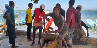 Lamu Fishermen