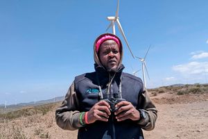 Matayo Ezekiel, bird watcher, kipeto wind farm