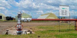 Heated greenhouses at the Geothermal Development Company (GDC) Direct Use Pilot project at its Menengai base in Nakuru