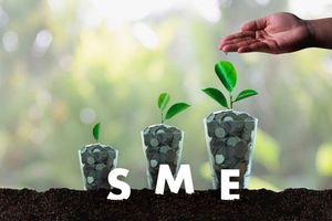 SMEs