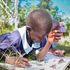 Pupils at Mboto Sunrise Primary School work on their competency-based curriculum assignment under a tree