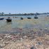 Filth-choked waters at a beach in Mlango wa Papa area in Mombasa Old Town