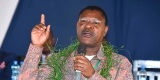 National Assembly Speaker Moses Wetang'ula