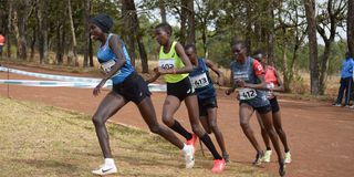 Athletes compete in junior category during University of Eldoret Cross Country Championships