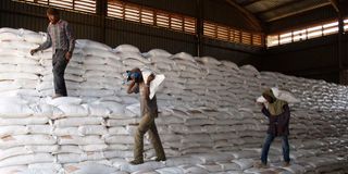 Workers arrange bags of subsidised fertiliser at the National Cereals and Produce Board depot in Elburgon, Nakuru County