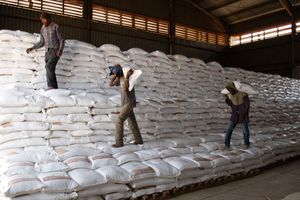 Workers arrange bags of subsidised fertiliser at the National Cereals and Produce Board depot in Elburgon, Nakuru County